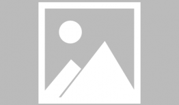 猫娘动漫,萌动时光，探寻二次元世界的奇幻之旅